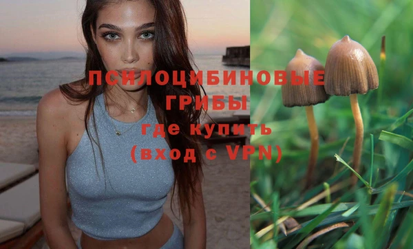 MDMA Premium VHQ Алзамай