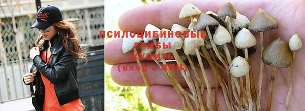 гашиш Алексеевка